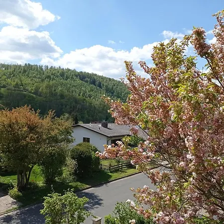 2 Schlafzimmer Appartement Eg Terrasse, Hund, Kamin Appartamento *