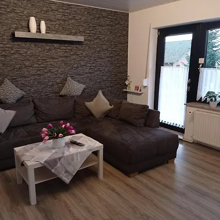 Appartamento 2 Schlafzimmer Appartement Eg Terrasse, Hund, Kamin
