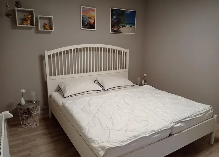 2 Schlafzimmer, Terrasse, Hund, Kamin 博登韦德